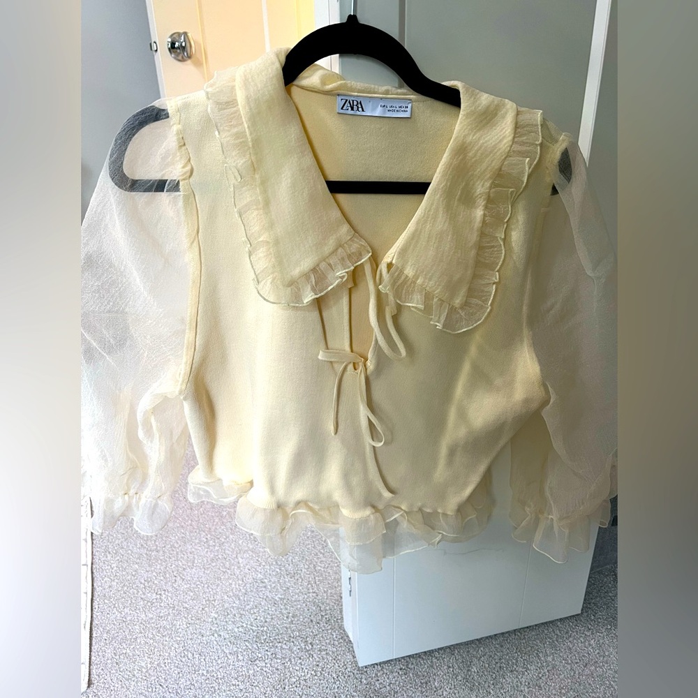 ZARA organza sleeve top